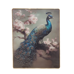 Peacock Feather Bird Synthetic Wood Wall Hanging Photo Framed Poster For Living Room/Wall Frames L x H 17 Inches x 24 Inches(Multicolour)