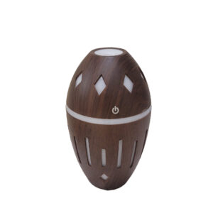 Egg Shape Aroma Diffuser