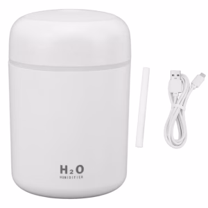 Mini USB Humidifier