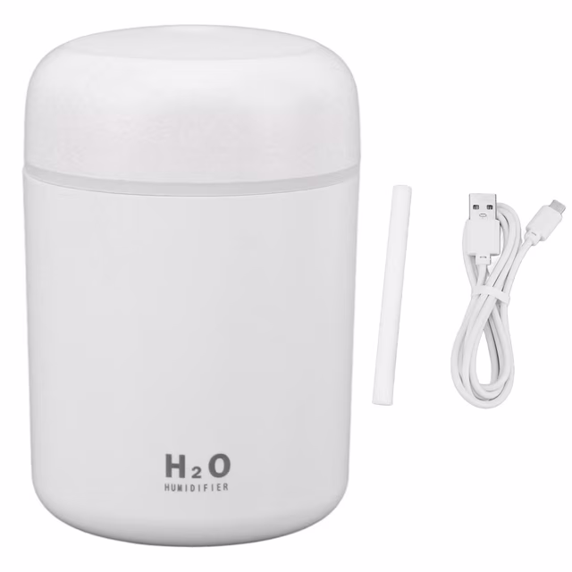 Mini USB Humidifier