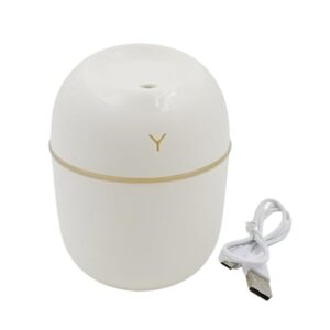 Humidifier